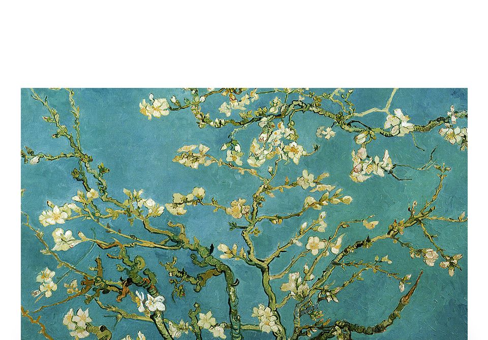 직소퍼즐 500피스 꽃이 핀 아몬드 나무 (PL613)/직소퍼즐/퍼즐/조각퍼즐/퍼즐놀이/취미/취미퍼즐/꽃이핀아