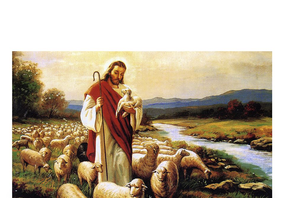 직소퍼즐 500피스 예수와 양 (PL645)/직소퍼즐/퍼즐/조각퍼즐/퍼즐놀이/취미/취미퍼즐/예수와양