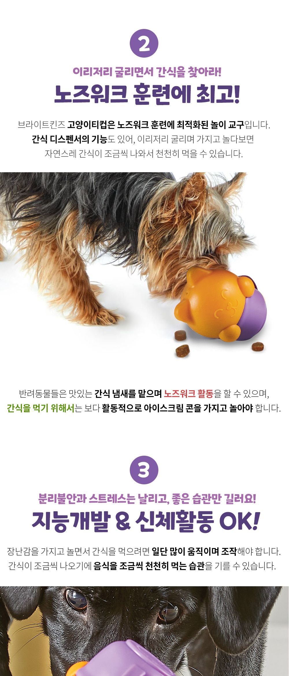 (브라이트킨즈) 노즈워크볼 고양이티컵 스몰 LER9398/노즈워크/고양이노즈워크/노즈워크장난감/스낵볼/고양