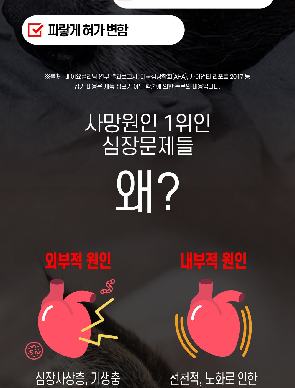 한국바이오펫 하트케어 강아지 고양이 심장면역영양제/심장영양제/면역영양제/아지영양제/반려견영양제/강