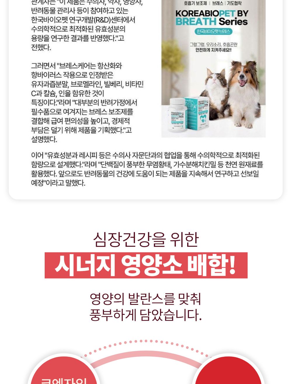 한국바이오펫 하트케어 강아지 고양이 심장면역영양제/심장영양제/면역영양제/아지영양제/반려견영양제/강