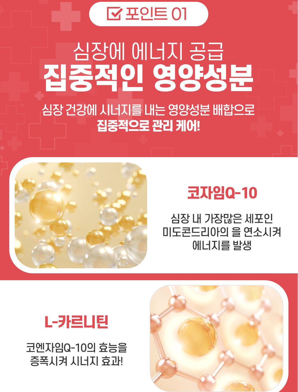 한국바이오펫 하트케어 강아지 고양이 심장면역영양제/심장영양제/면역영양제/아지영양제/반려견영양제/강
