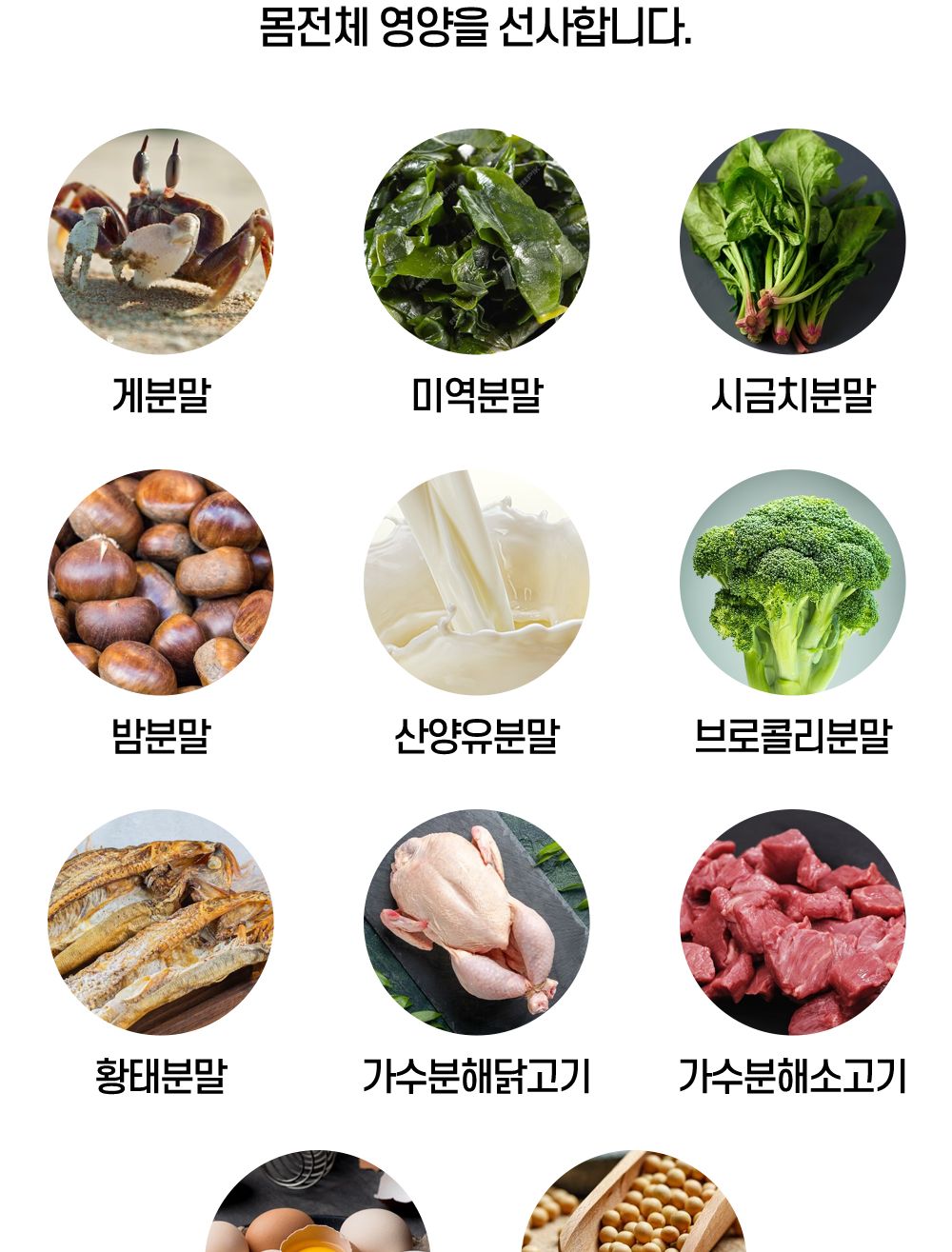 한국바이오펫 하트케어 강아지 고양이 심장면역영양제/심장영양제/면역영양제/아지영양제/반려견영양제/강