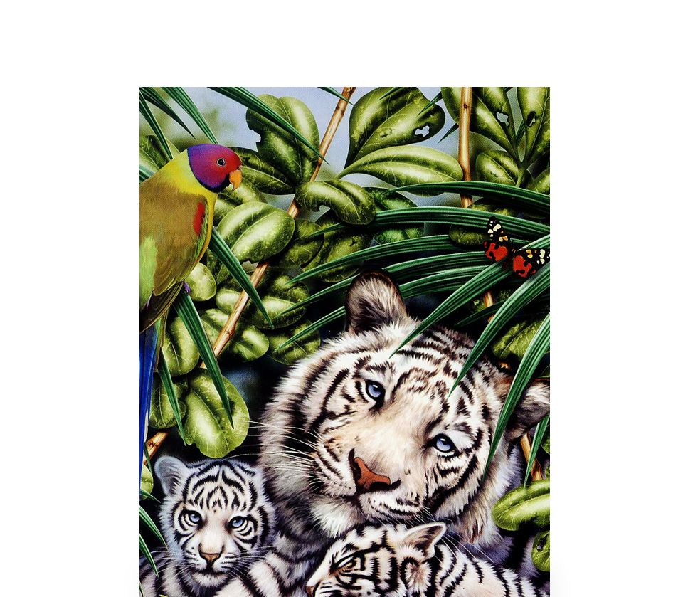 직소퍼즐 500피스 밀림의 백호가족 (PL729)/직소퍼즐500/500퍼즐/직소퍼즐500P/500P퍼즐/직소퍼즐/퍼즐/취