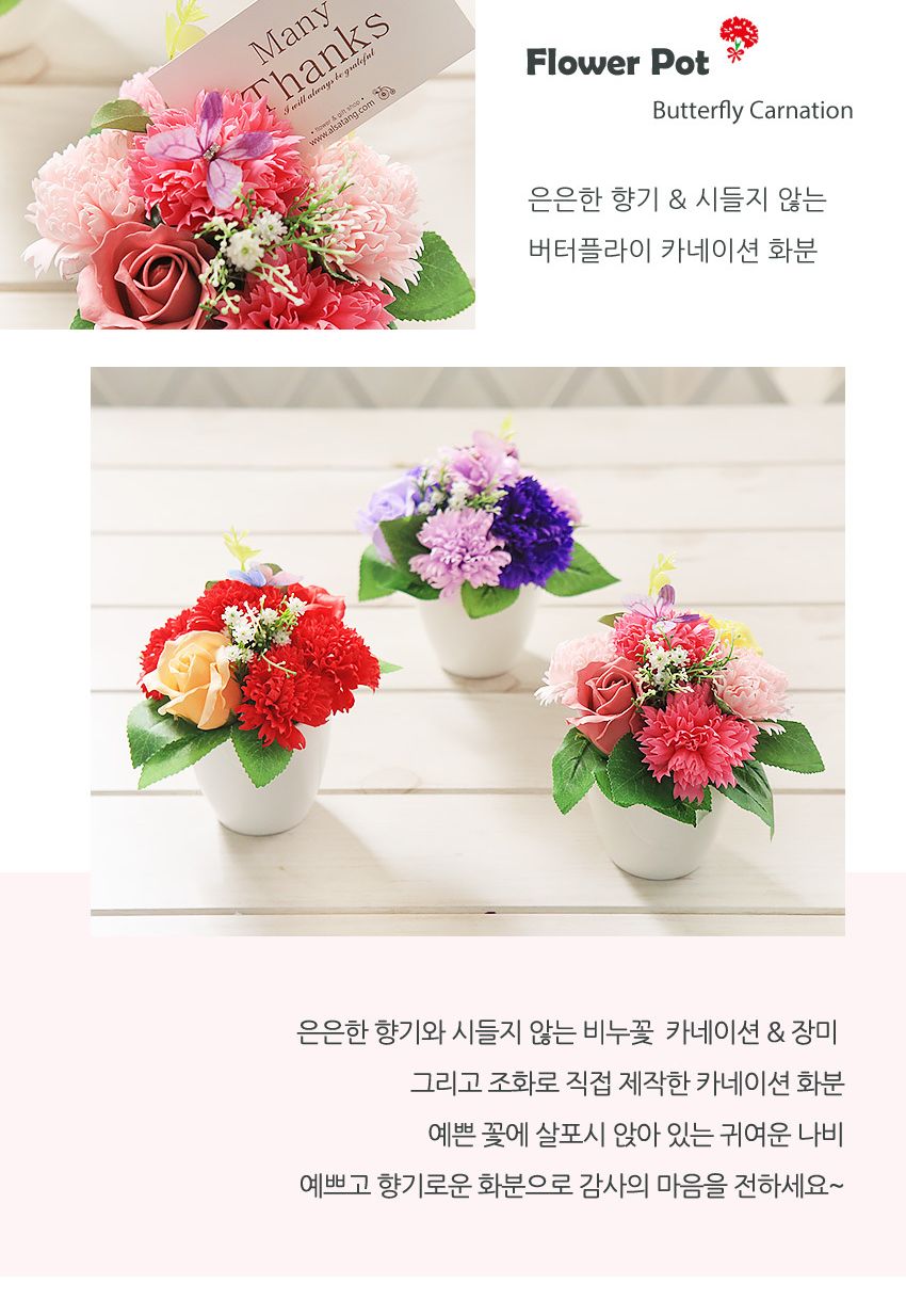 나비 비누꽃 카네이션 화분 핑크 어버이날/카네이션/비누꽃/비누카네이션/카네이션화분/미니카네이션/어버