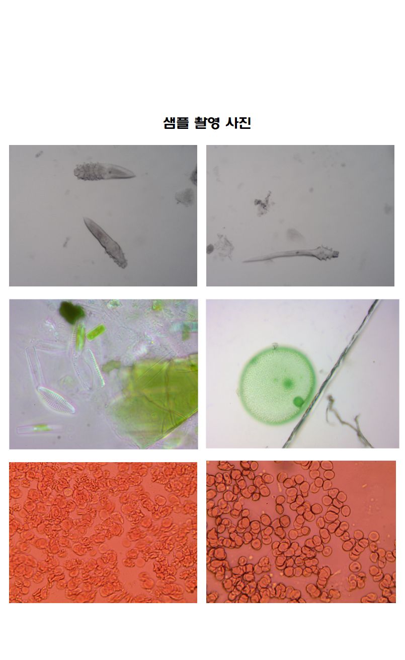 HNB003 생물현미경 광학 학교 실험 1000배 가스월드/현미경/휴대용현미경/스마트폰현미경/디지털현미경/확