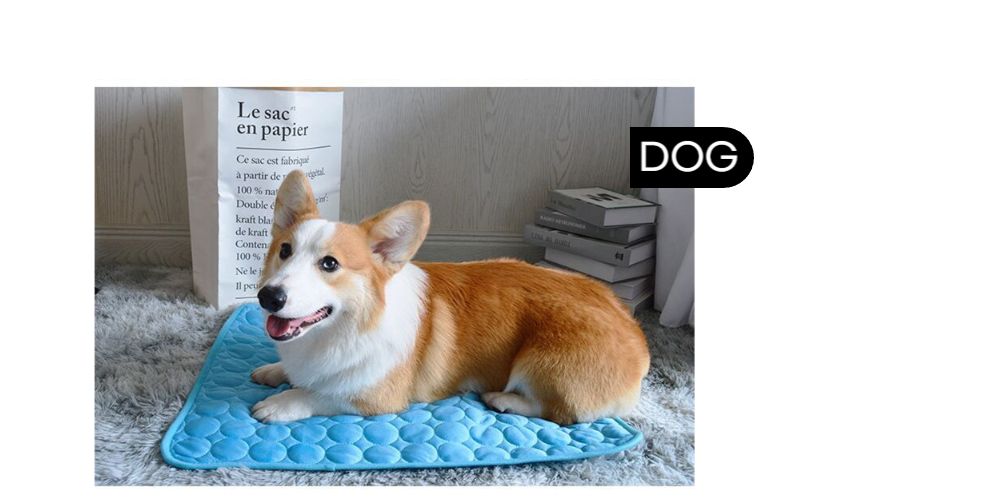 반려견 강아지 고양이 냉감 여름 쿨 애견 방석 매트/냉감패드/쿨매트/반려견쿨매트/애견쿨매트/강아지쿨매