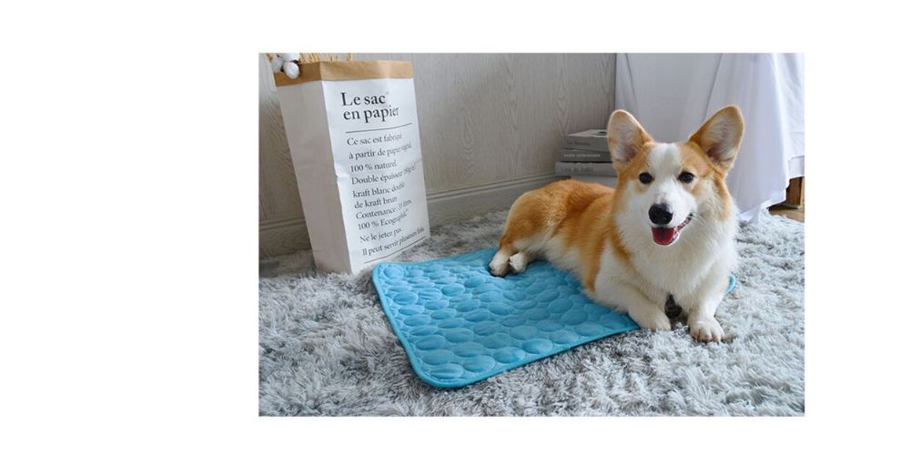반려견 강아지 고양이 냉감 여름 쿨 애견 방석 매트/냉감패드/쿨매트/반려견쿨매트/애견쿨매트/강아지쿨매