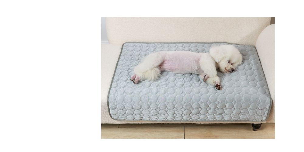 반려견 강아지 고양이 냉감 여름 쿨 애견 방석 매트/냉감패드/쿨매트/반려견쿨매트/애견쿨매트/강아지쿨매
