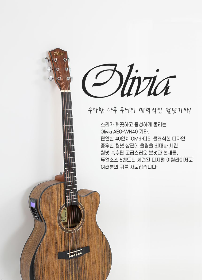 월넛 Olivia aeq WN40 OM바디 어쿠스틱 기타/기타/통기타/고급기타/선물용기타/기타선물/연습기타/연습용기
