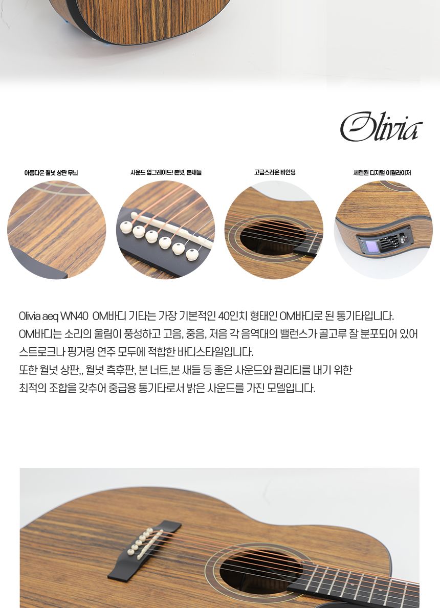 월넛 Olivia aeq WN40 OM바디 어쿠스틱 기타/기타/통기타/고급기타/선물용기타/기타선물/연습기타/연습용기