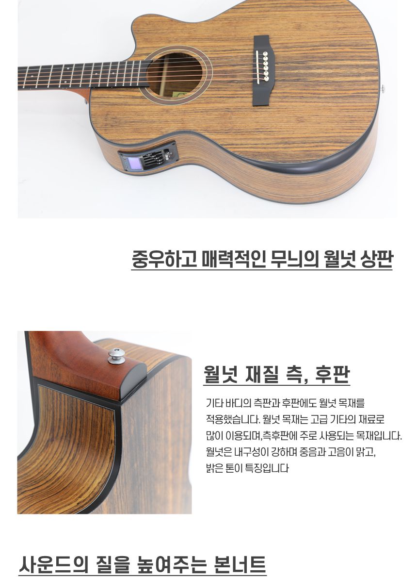 월넛 Olivia aeq WN40 OM바디 어쿠스틱 기타/기타/통기타/고급기타/선물용기타/기타선물/연습기타/연습용기