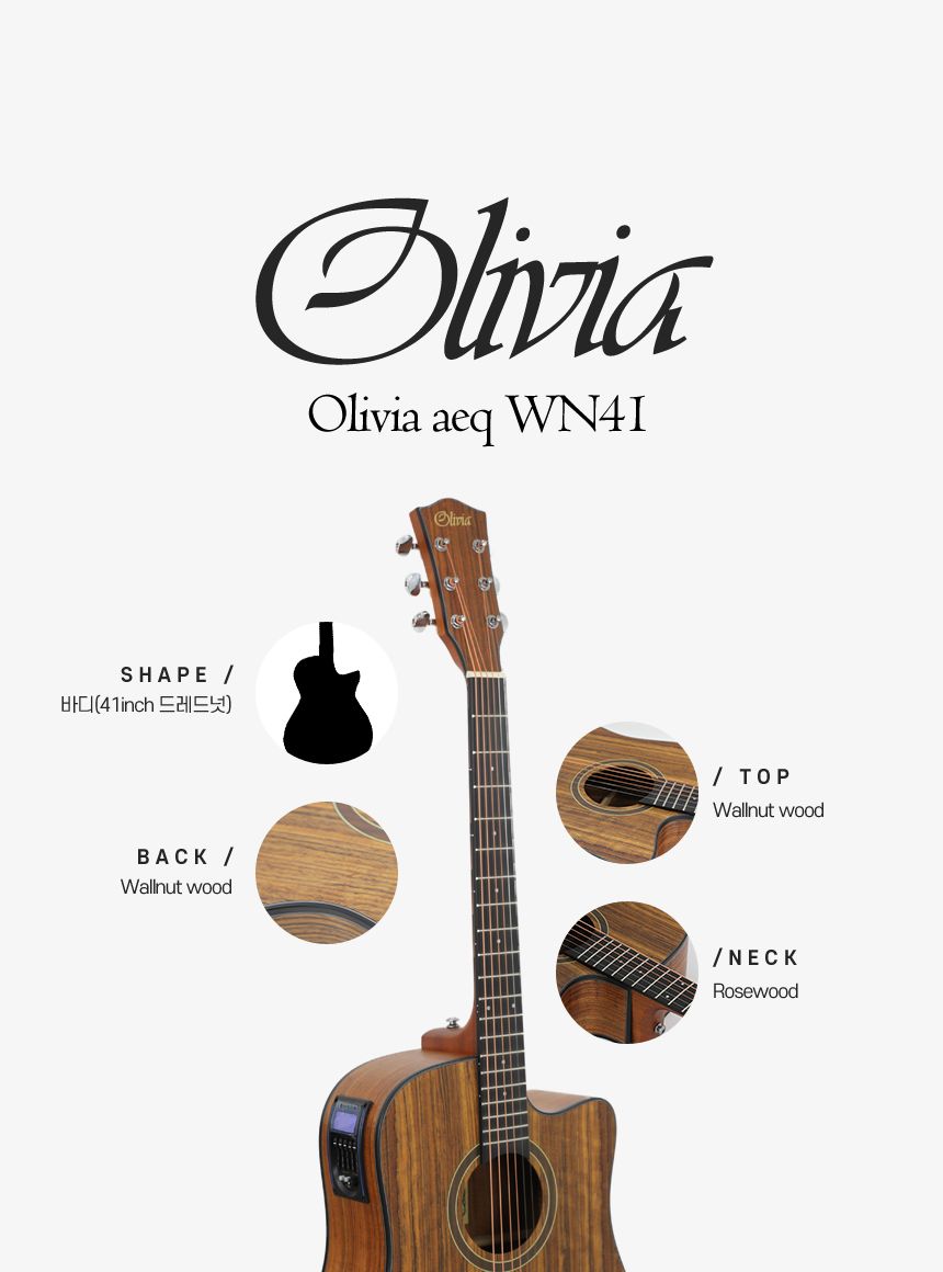월넛 Olivia aeq WN41 드래드넛 어쿠스틱 기타/기타/통기타/고급기타/선물용기타/기타선물/연습기타/연습용