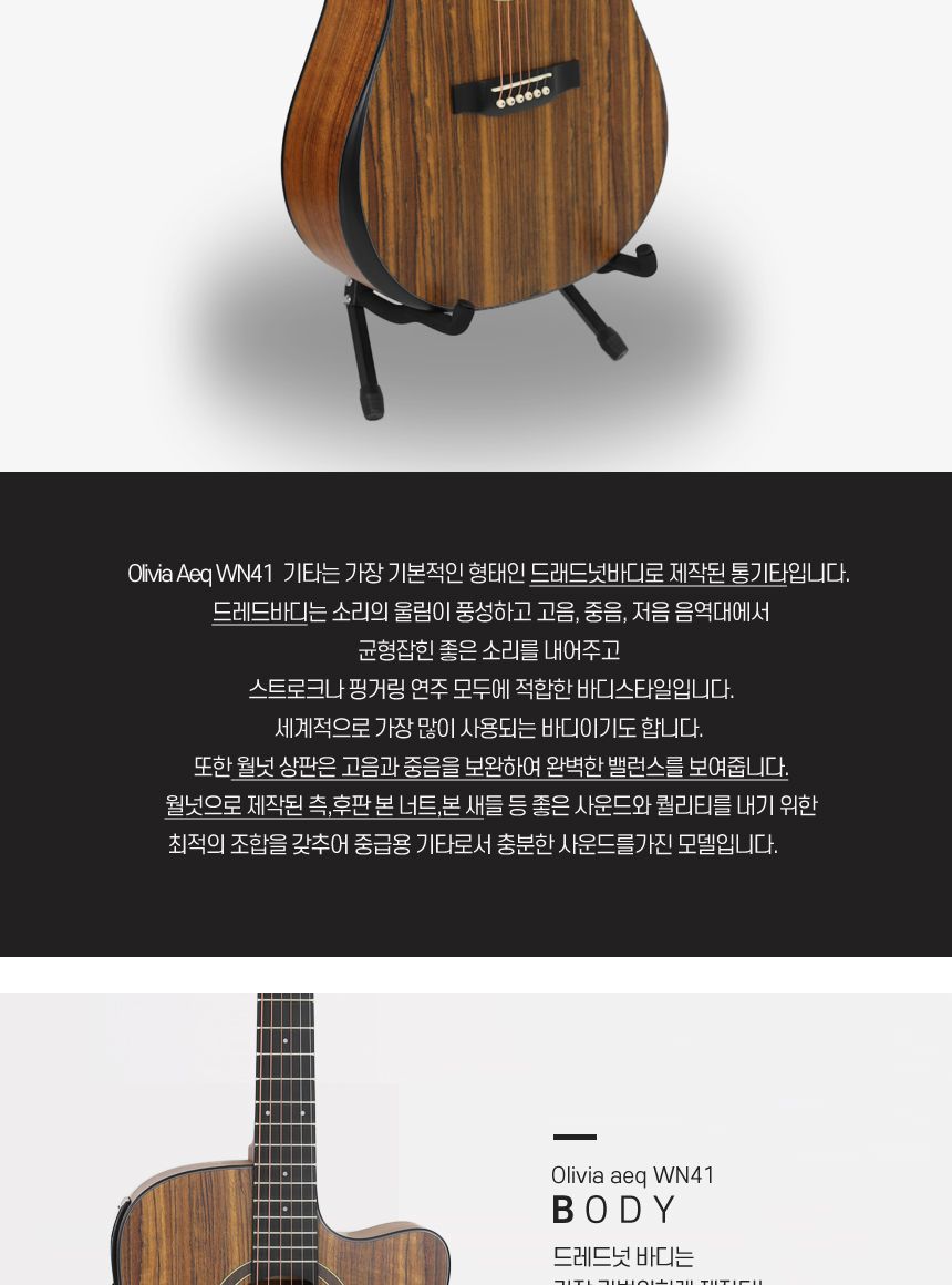 월넛 Olivia aeq WN41 드래드넛 어쿠스틱 기타/기타/통기타/고급기타/선물용기타/기타선물/연습기타/연습용