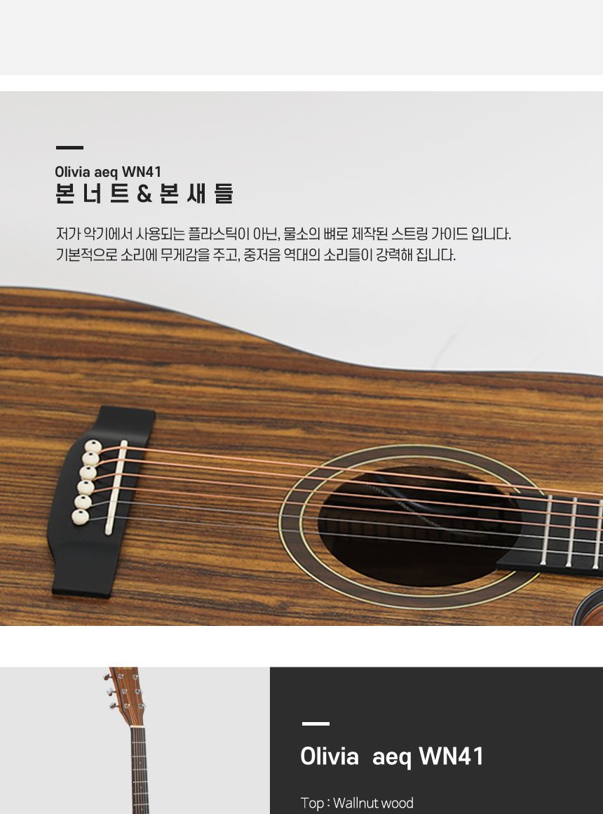 월넛 Olivia aeq WN41 드래드넛 어쿠스틱 기타/기타/통기타/고급기타/선물용기타/기타선물/연습기타/연습용