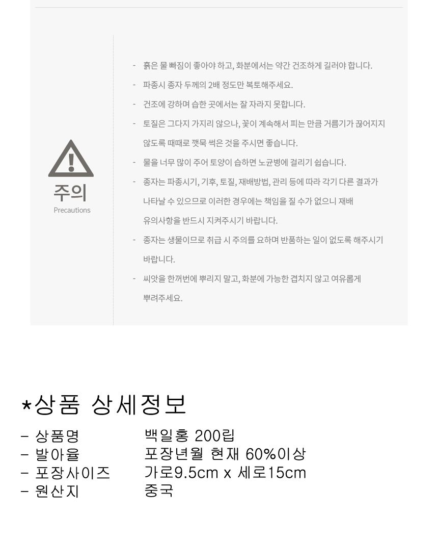 씨앗팜 정원 여름 야생화 꽃씨 종자 백일홍 200립/씨/씨앗/꽃씨/꽃씨앗/야생화씨/야생화씨앗/정원가꾸기/정