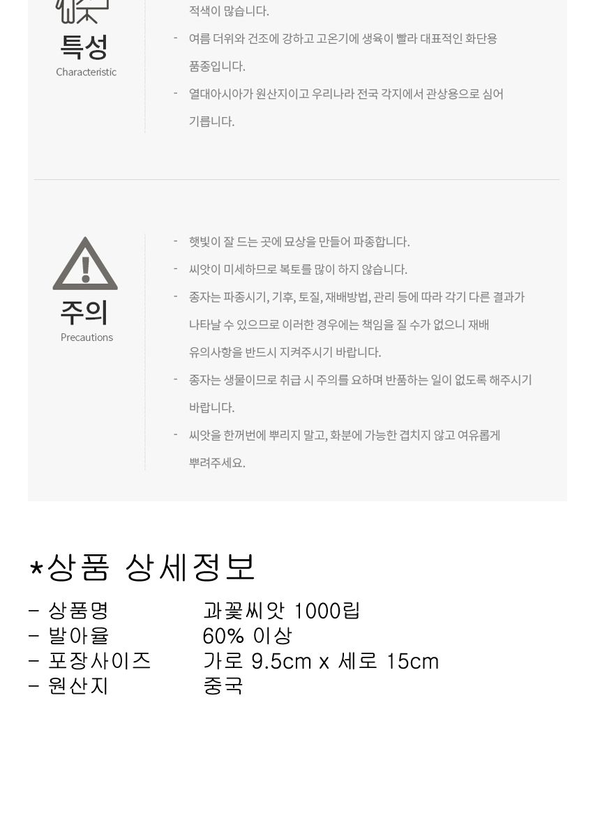 정원 꽃씨앗 야생화 꽃씨 종자 과꽃 씨앗판매 1000립/씨/씨앗/꽃씨/꽃씨앗/야생화씨/야생화씨앗/정원가꾸기