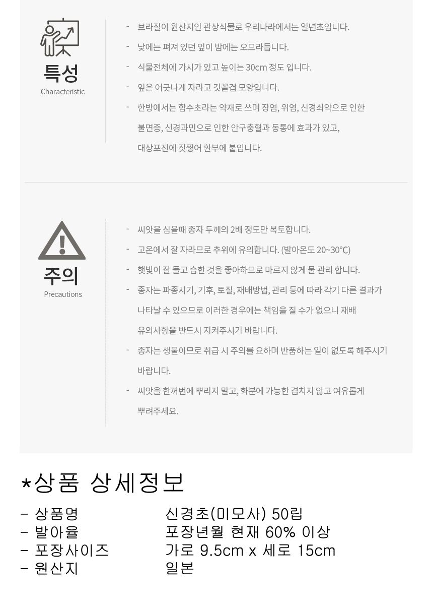 꽃씨앗 야생화 꽃씨 종자 신경초 미모사 키우기 50립/씨/씨앗/꽃씨/꽃씨앗/야생화씨/야생화씨앗/정원가꾸기