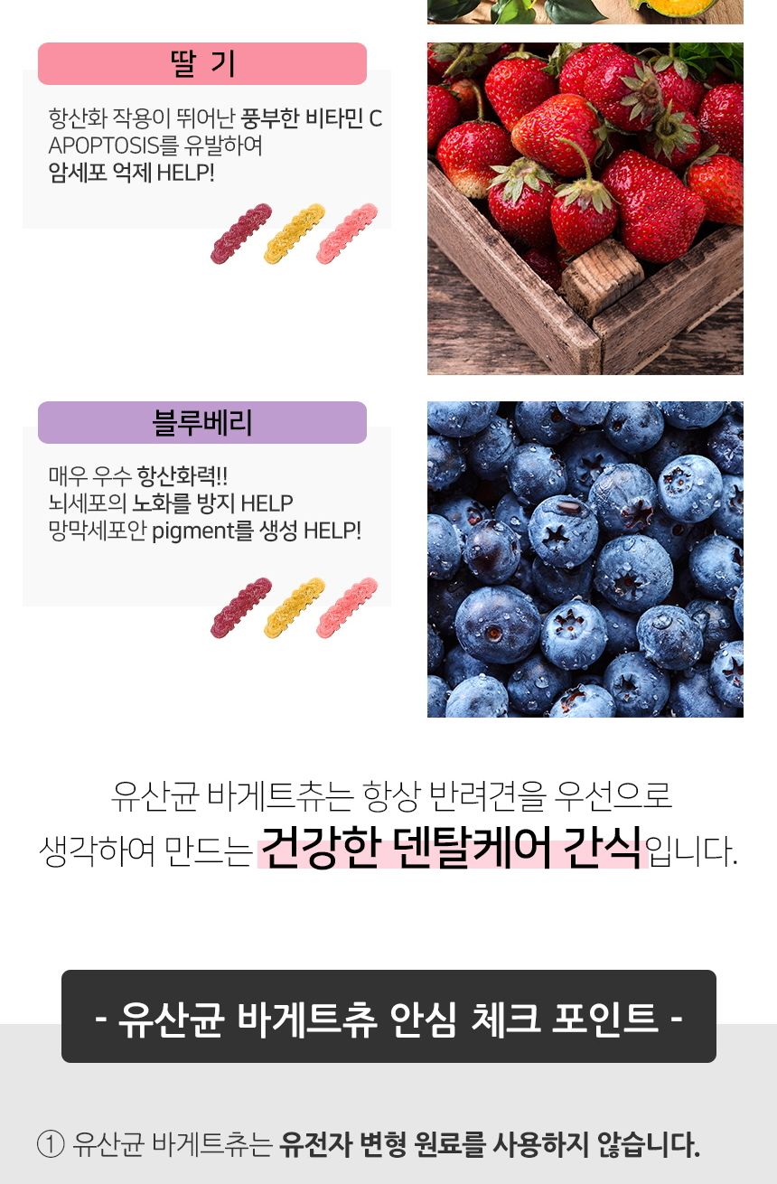유산균 바게트츄 블루베리 6개입 반려견 영양 간식/껌/애견껌/애견용껌/치석제거껌/강아지치석껌/애견치석