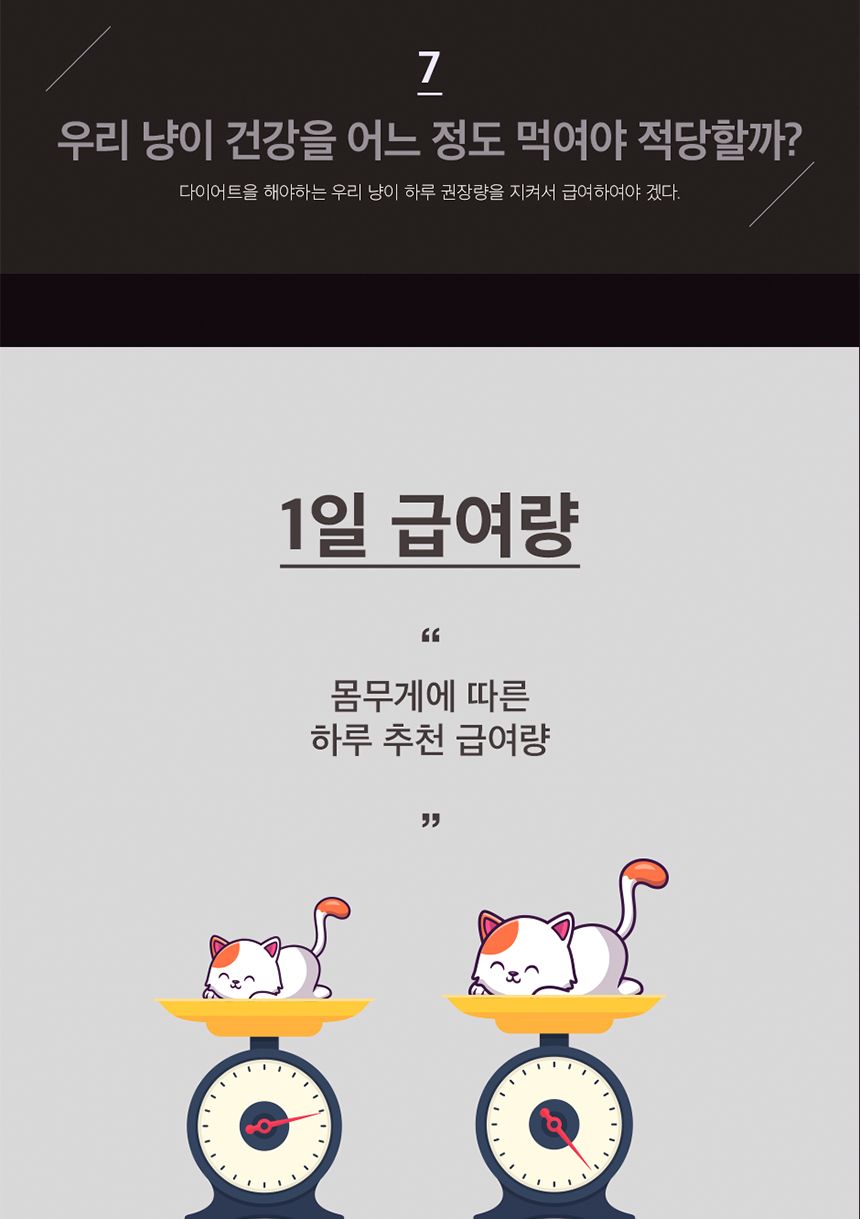 반려묘 고양이간식 휴대용 대용량 츄르 믹스15g(30P)