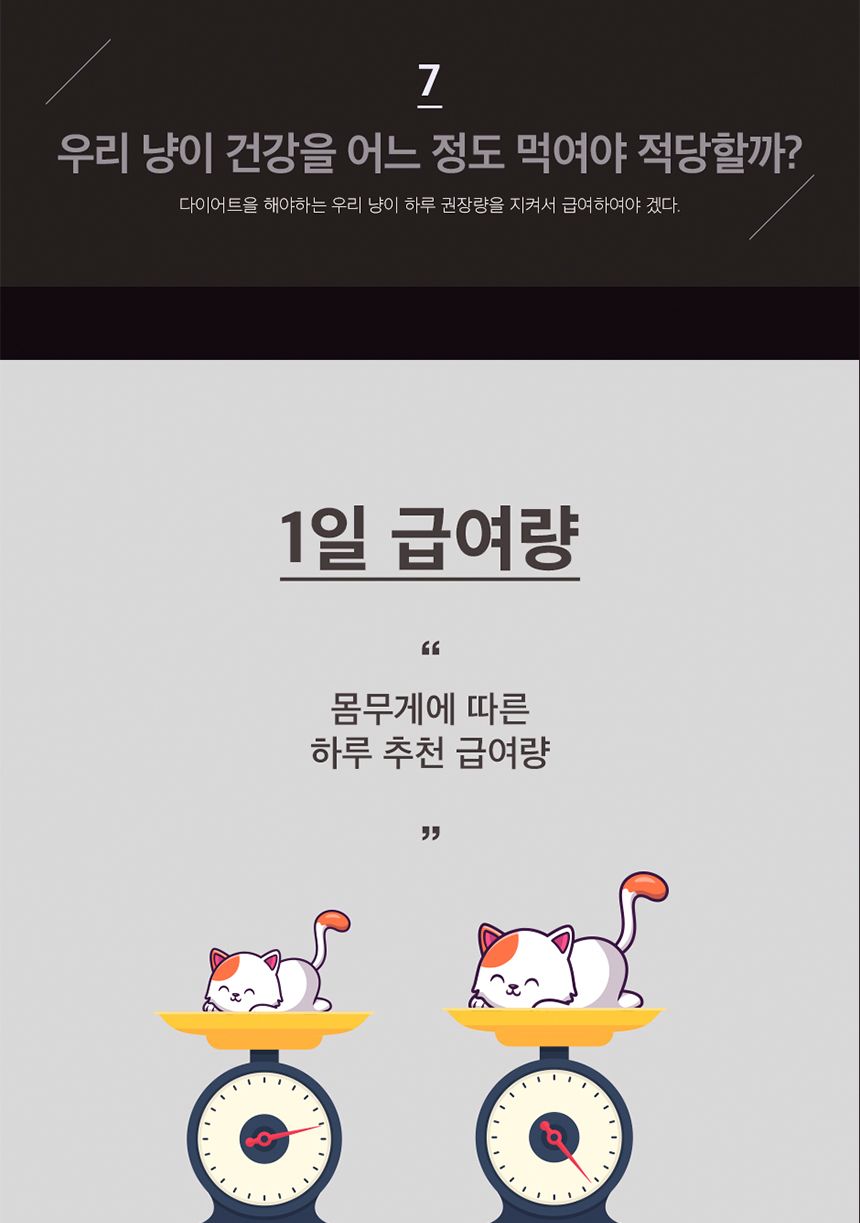 고양이 대용량 츄르 간식 연어조개관잘살15g(30P)/츄르/츄르/츄르간식/고양이영양식/캣영양간식/짜먹는간식