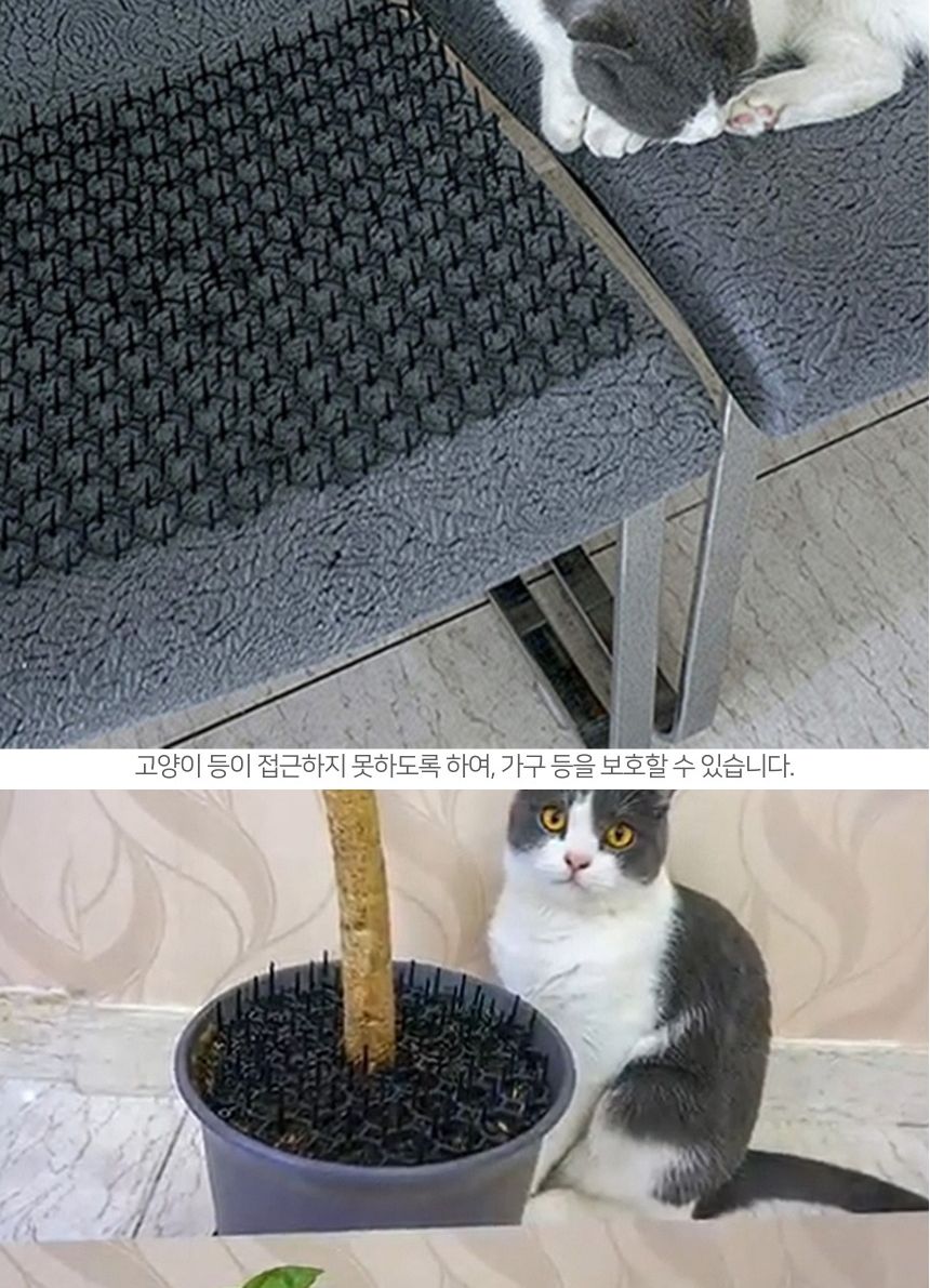화단보호 야생동물 길고양이 차단망 15x20cm 12p세트/야생동물차단망/고양이차단망/야생동물차단/고양이차