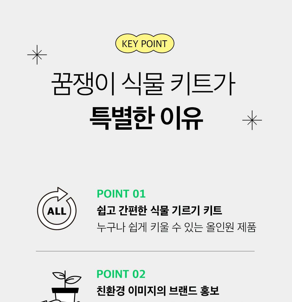 투톤 사각 화분 해바라기/해바라기키우기/식물키우기/사각화분/화분해바라기/해바라기화분/미니화분/해바라