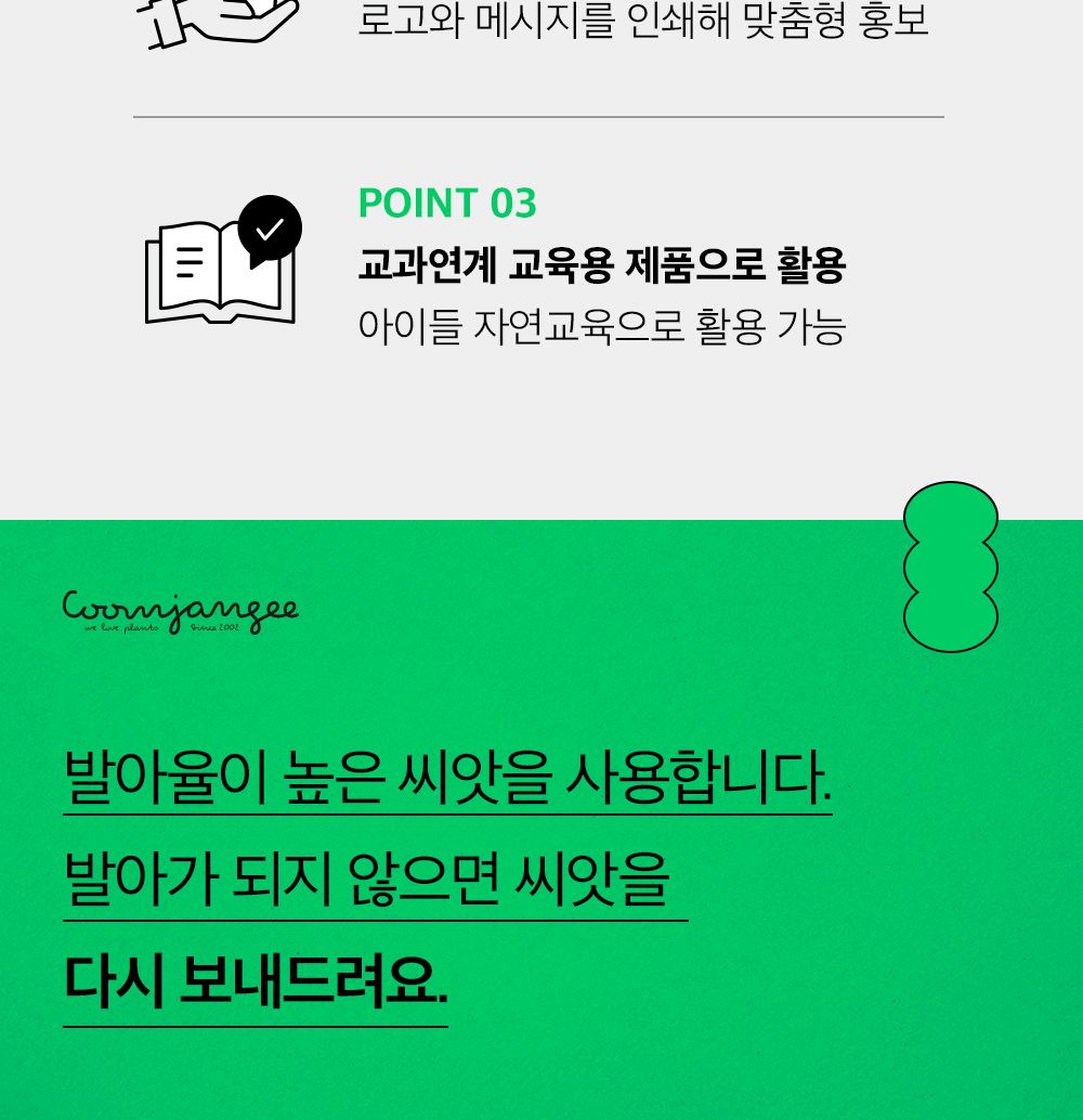 투톤 사각 화분 해바라기/해바라기키우기/식물키우기/사각화분/화분해바라기/해바라기화분/미니화분/해바라