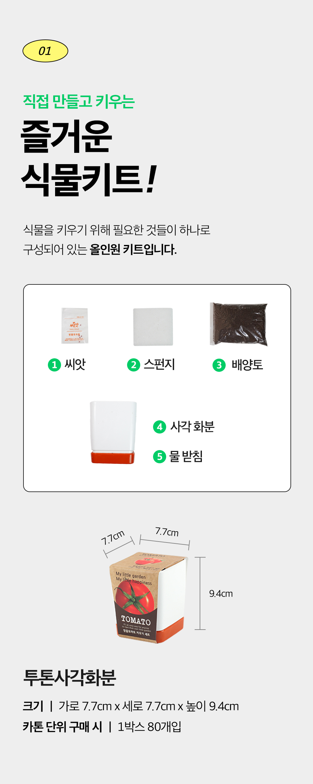투톤 사각 화분 해바라기/해바라기키우기/식물키우기/사각화분/화분해바라기/해바라기화분/미니화분/해바라