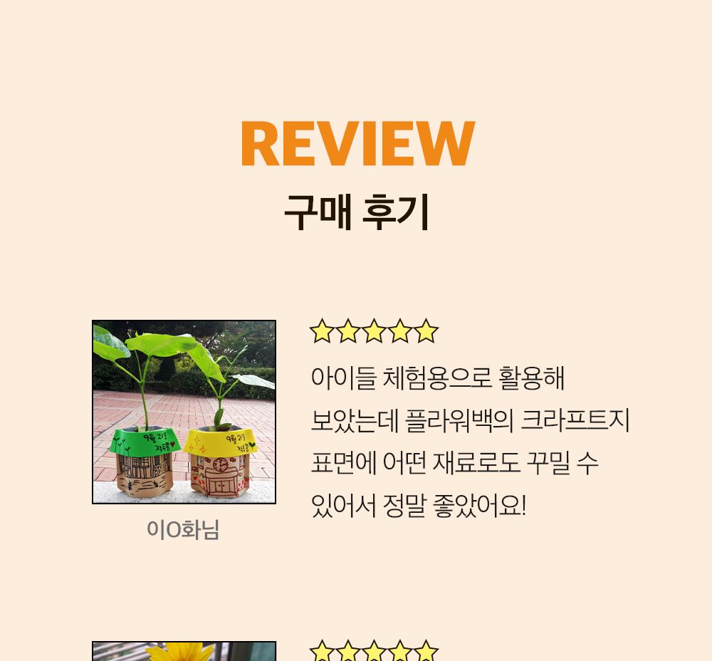 투톤 사각 화분 해바라기/해바라기키우기/식물키우기/사각화분/화분해바라기/해바라기화분/미니화분/해바라