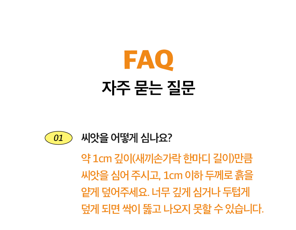 투톤 사각 화분 해바라기/해바라기키우기/식물키우기/사각화분/화분해바라기/해바라기화분/미니화분/해바라