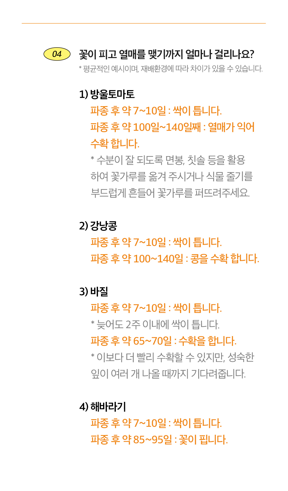 투톤 사각 화분 해바라기/해바라기키우기/식물키우기/사각화분/화분해바라기/해바라기화분/미니화분/해바라