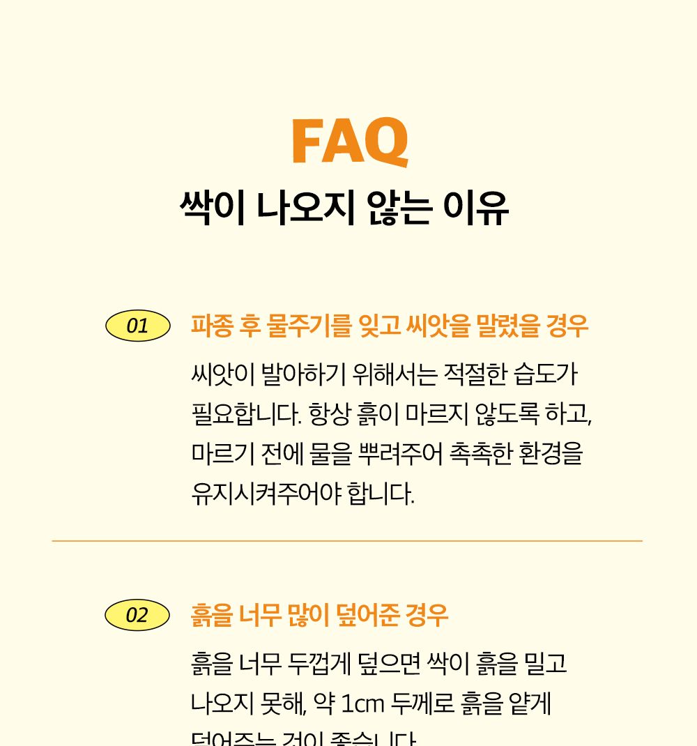 투톤 사각 화분 해바라기/해바라기키우기/식물키우기/사각화분/화분해바라기/해바라기화분/미니화분/해바라