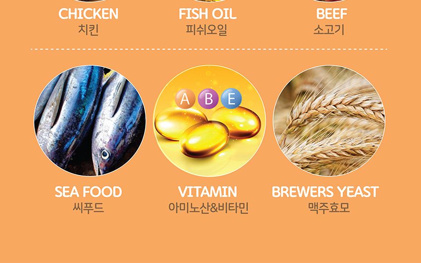 프리미요 크런치 고양이간식 참치+연어 20gx12p/캣스낵/캣스넥/캣간식/고양이간식/고양이크런치간식/고양이