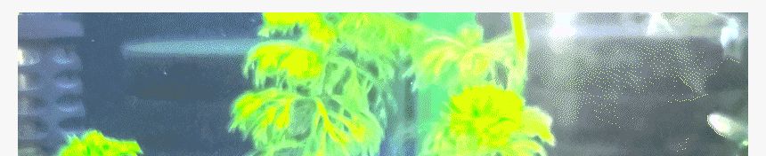 상어 물고기 은신처/어항꾸미기/어항은신처/수조관꾸미기/물고기꾸미기/어항장식/어항수초/어항용품/어항장