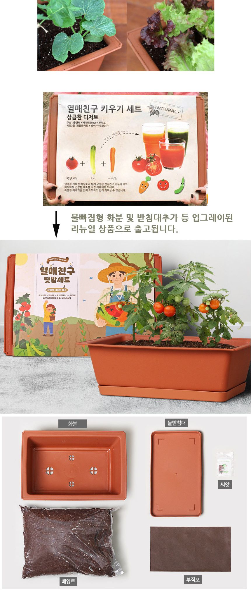 미니당근 오이 방울토마토 베란다텃밭화분/상추키우기/텃밭상자/텃밭세트/실내텃밭/베란다텃밭/텃밭화분/베