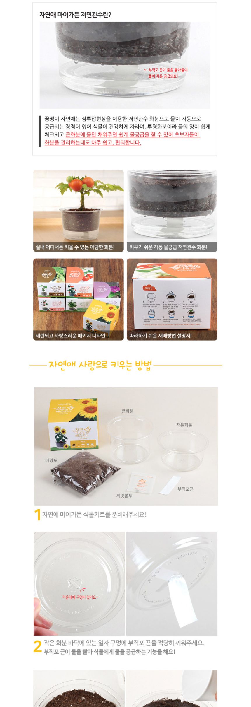 자동물공급 삼투압화분 해바라기씨앗 흙 세트/자동급수화분/자연학습교구/물공급화분/어린이화분만들기/과