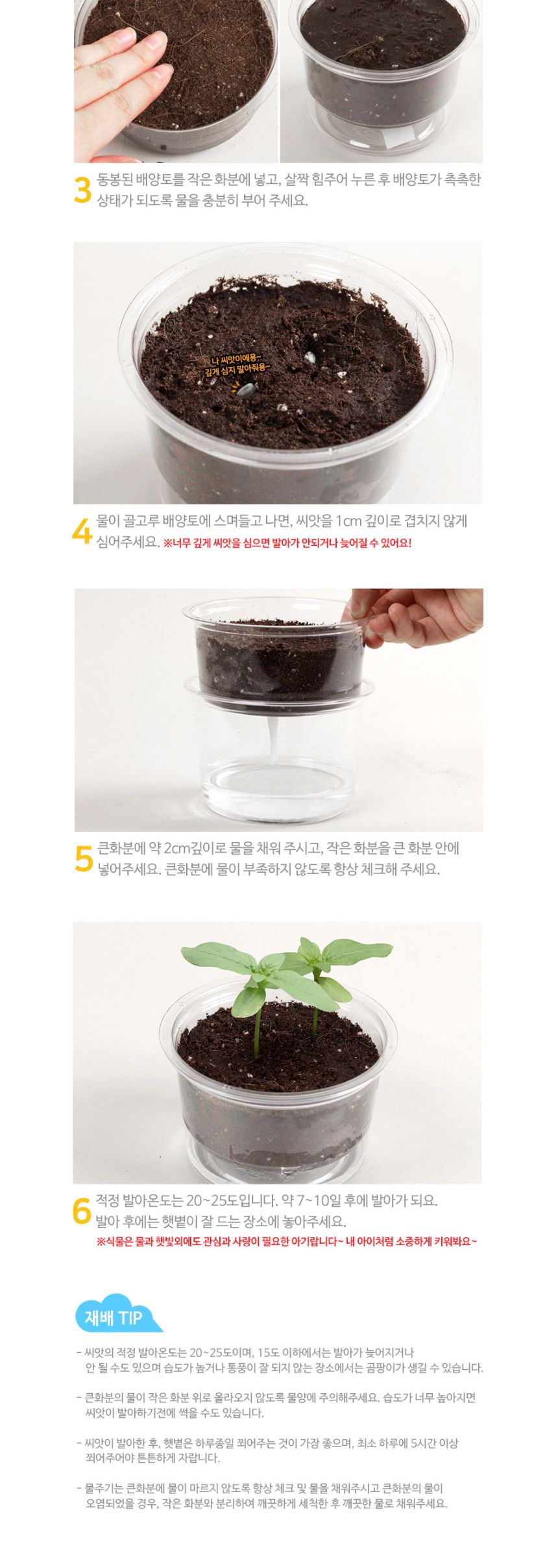 자동물공급 삼투압화분 봉선화씨앗 흙 세트/자동급수화분/자연학습교구/물공급화분/어린이화분만들기/과학