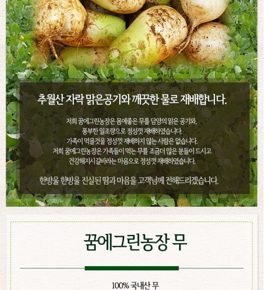 무볶음차 3팩 (300g)(100g X 3개)/무볶음차/마시는무/무침출차/무볶음침출차/무차/다과무차/다과무볶음차/