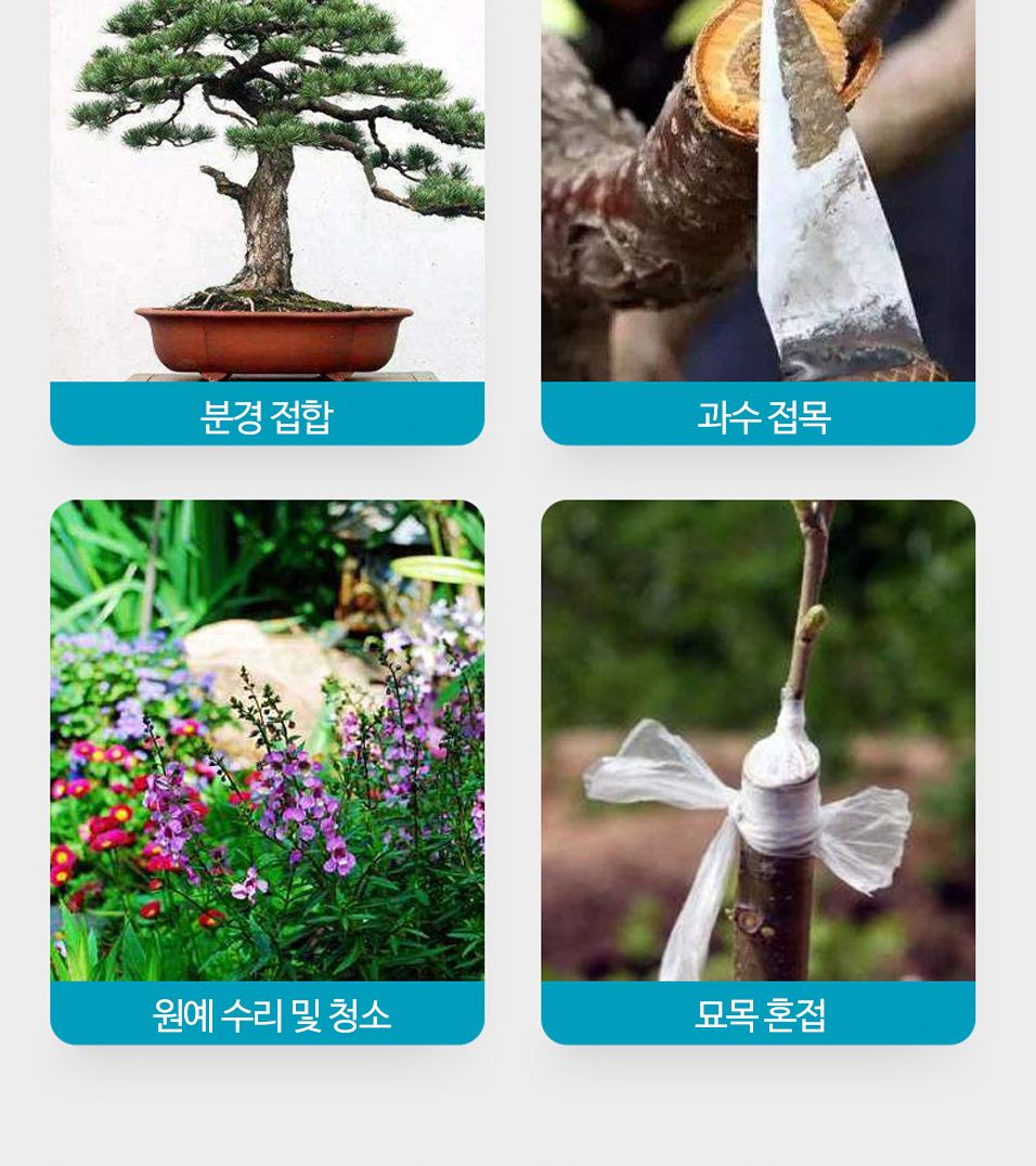 OC1150 가지치기 분경 묘목 접이식 원목손잡이 접목칼/원예공구/접목도구/감나무접목/원예과수관리/접이식