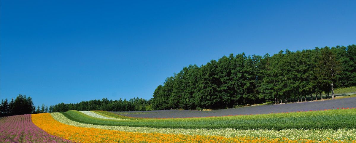 호야 UX CPL 37mm 발수코팅 필터+렌즈캡+크리닝티슈/편광렌즈/편광필터렌즈/렌즈/카메라렌즈/렌즈/디카렌즈