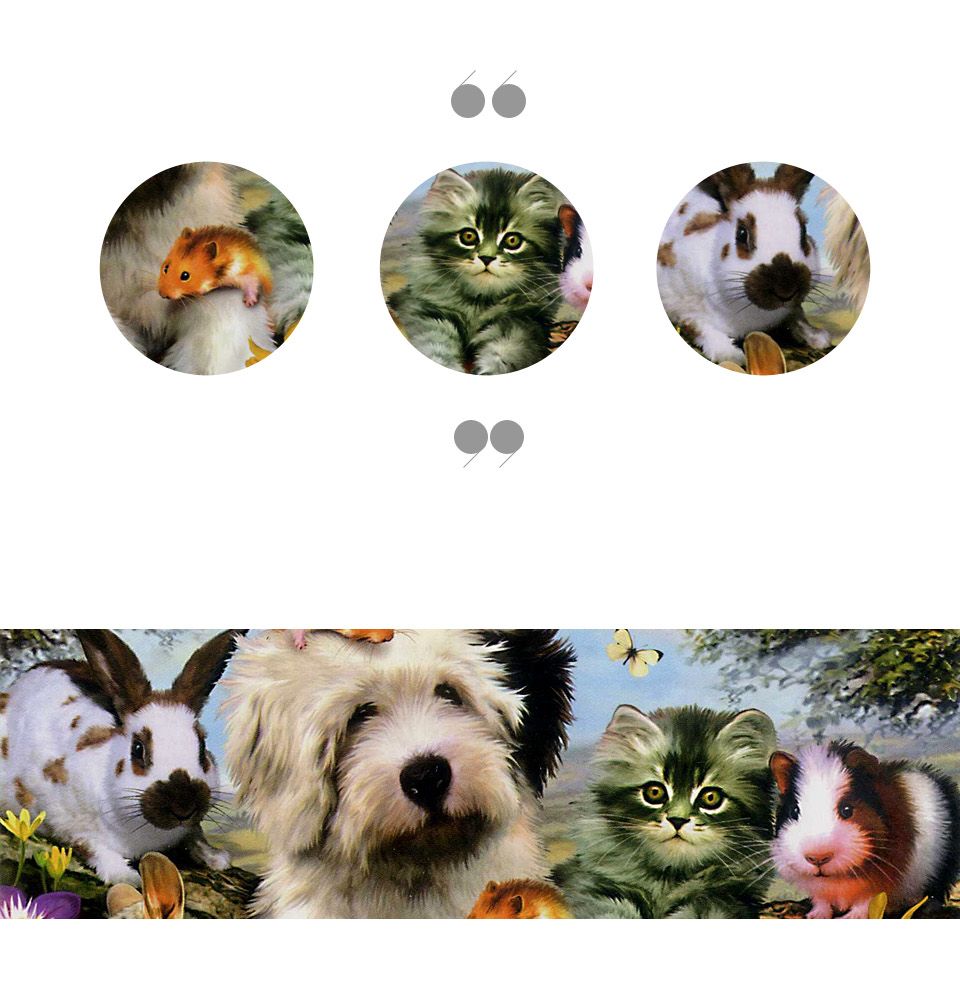 직소퍼즐 - 150피스 복실복실한 친구들/동물퍼즐/동물그림퍼즐/그림퍼즐/멋진액자퍼즐/퍼즐/종이퍼즐/액자