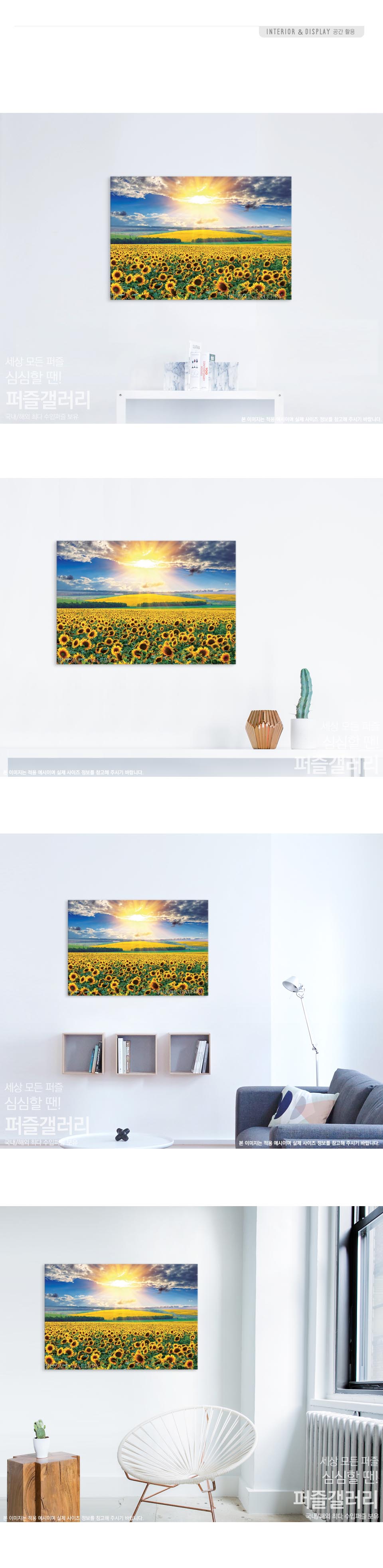 직소퍼즐 - 1000피스 해바라기들판5 PL1405/풍경퍼즐/예쁜그림퍼즐/액자용퍼즐/그림퍼즐/멋진액자퍼즐/퍼즐