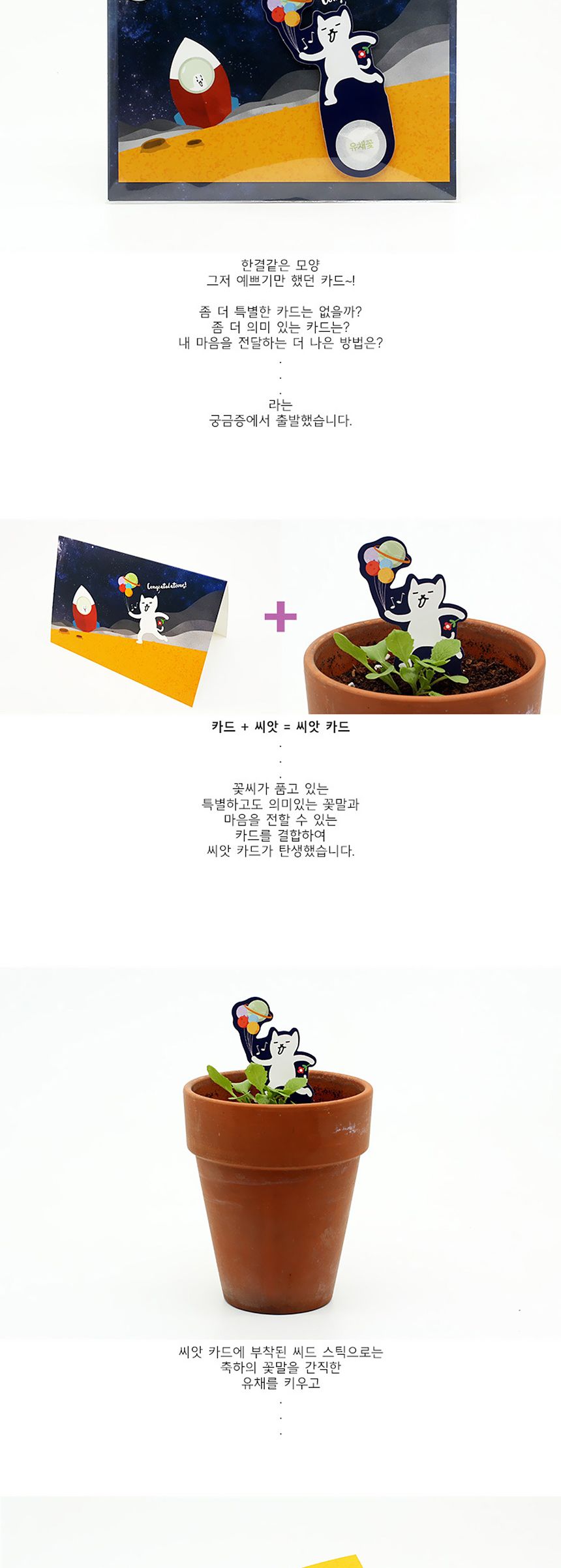 새싹키우기 관찰학습 우주여행 유채꽃 씨앗카드/씨앗/씨앗선물/카드씨앗/아하그렇구나/관찰숙제/식물재배/D