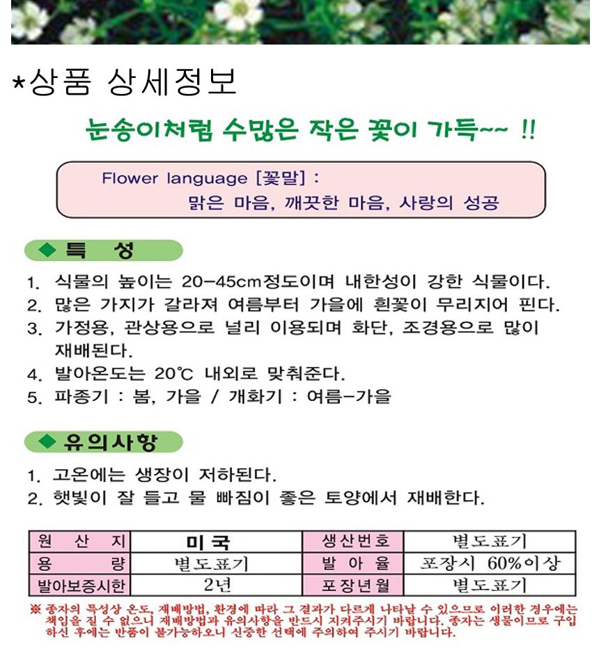 안개초 씨앗 소포장 야생화 꽃씨 종자 품종 안개꽃 30/씨/씨앗/야생화씨/야생화씨앗/야생화키우기/꽃씨앗/