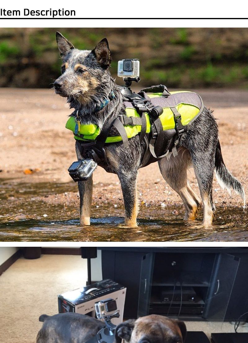 GOPRO10 호환 반려견 애견 도그 바디 스트랩 고프로10/강아지캠거치대/애견캠거치대/캠애견마운트/액션캠애