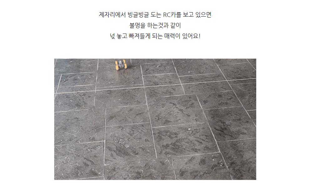 360도 회전 스턴트 양면주행 미니 RC (SQW111522)/RC/RC카/알씨/알씨카/무선조종/자동차/자동차모형/자동차