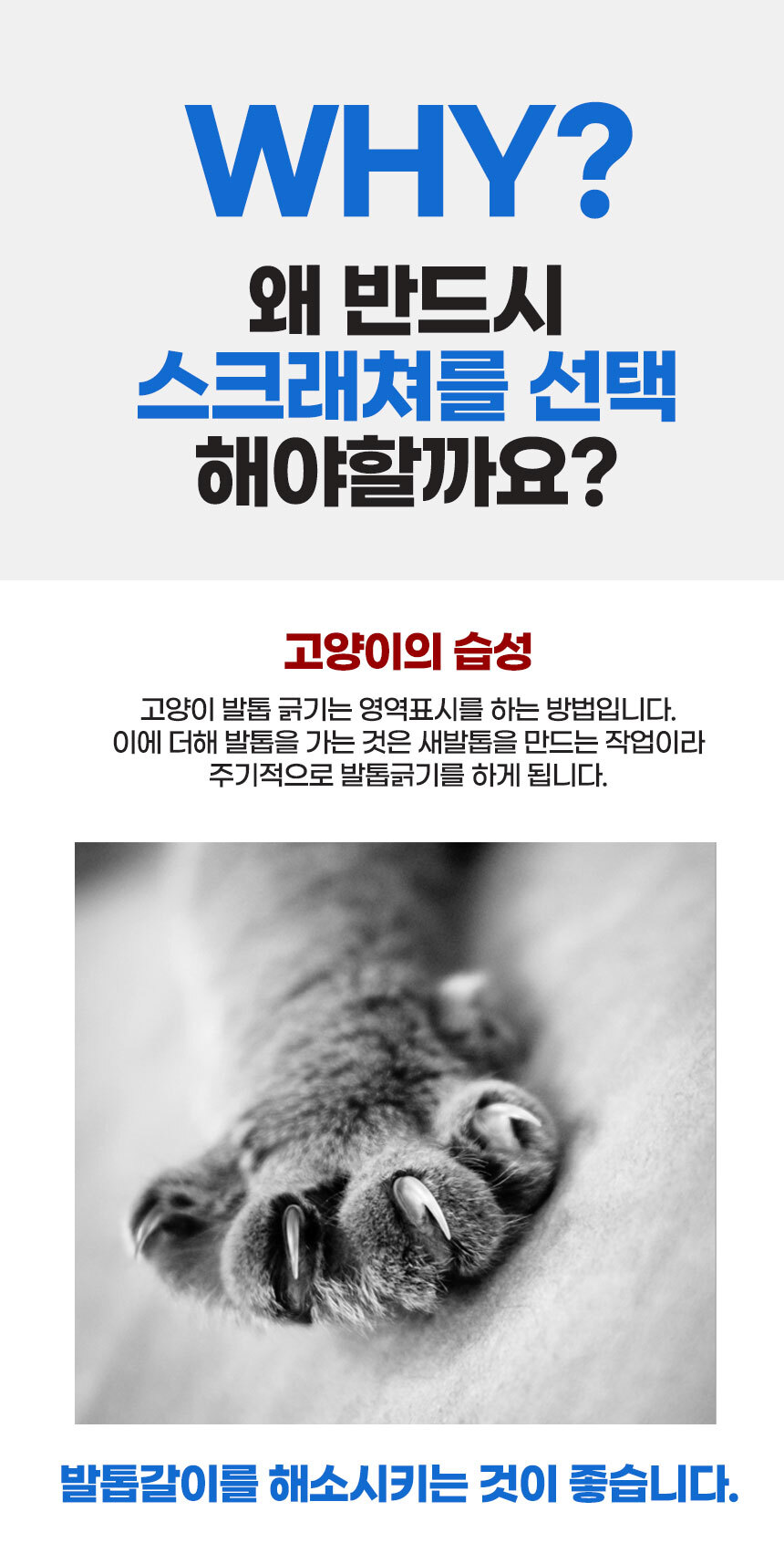 고양이 스크래쳐 세탁기 하우스 고양이박스 스크레쳐/고양이스크래쳐/스크래쳐/스크레쳐/고양이스크레쳐/고