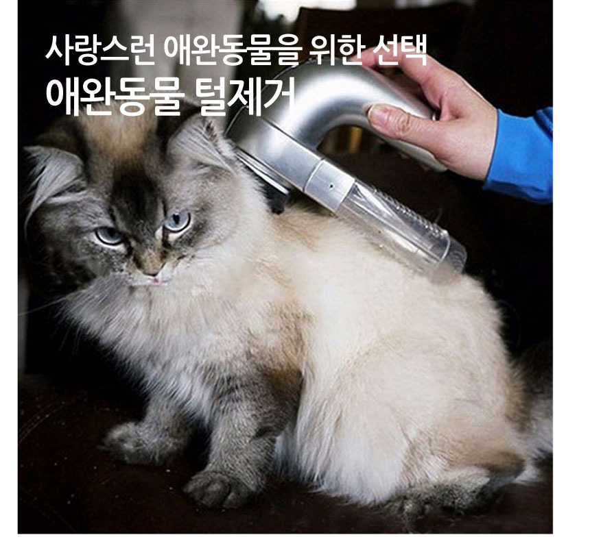 털빠짐 강아지 미용 애완견 반려견 고양이 애묘/털관리/털관리기/강아지털관리기/애견털관리기/애묘털관리