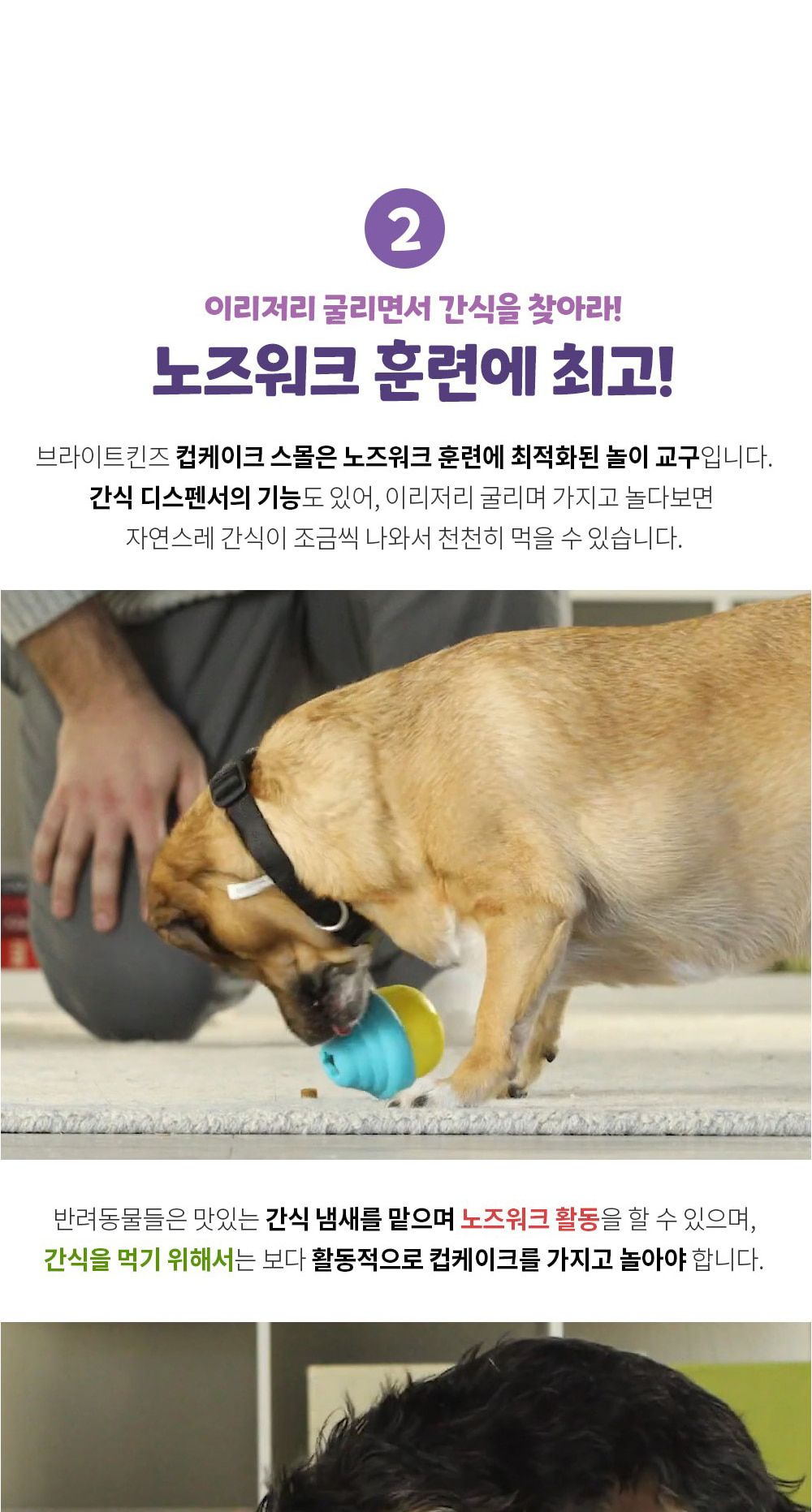 브라이트킨즈 노즈워크 장난감 컵케이크 스몰 LER9373/강아지노즈워크/강아지훈련용품/강아지교육용품/노즈